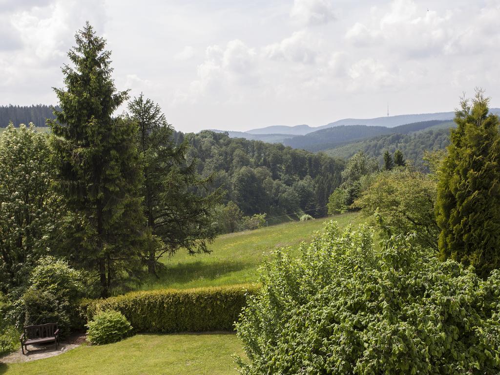 Pension Haus Brieden Winterberg Kültér fotó